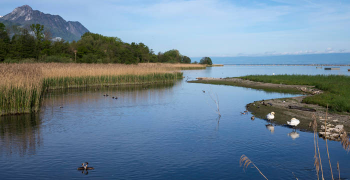 les grangettes_cr_benoit_renevey