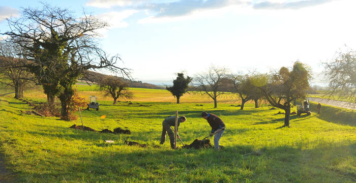 bénévoles vergers © Anne-Claude Plumettaz