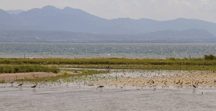 Ile aux Oiseaux