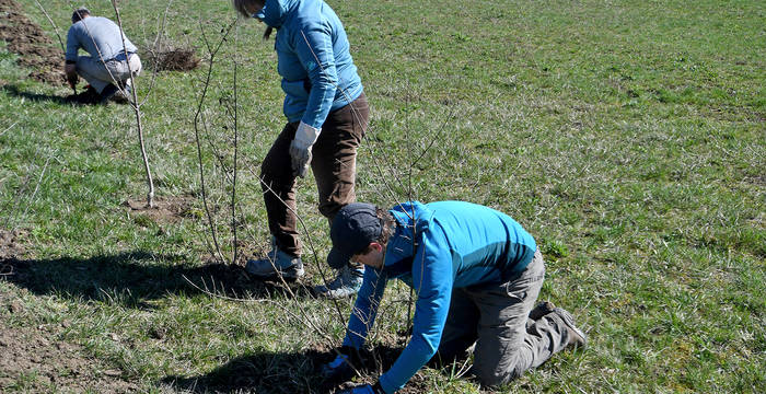 Nombre de mesures mises en œuvre n’ont été possible que grâce à l’appui des agriculteurs, forestiers et de bénévoles très motivés. Que tout le monde en soit ici remercié!