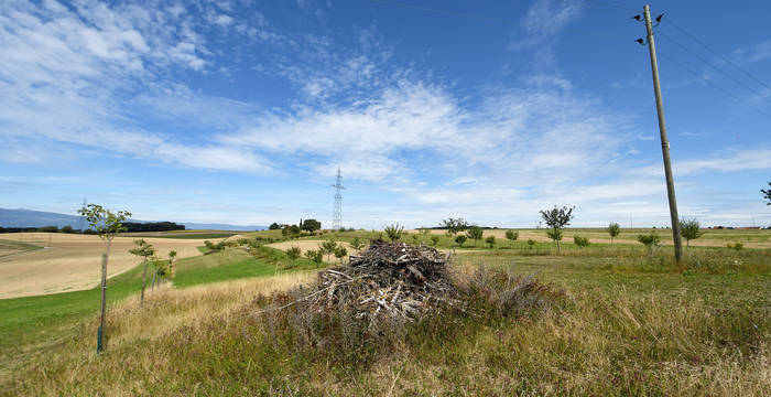 Les arbres des vergers sont régulièrement taillés. Valoriser les rémanents sur place en créant des tas de branches permet d’accueillir les hermines et Cie – qui se feront un régal de chasser les campagnols, diminuant ainsi le risque de voir ces derniers manger les racines des fruitiers.