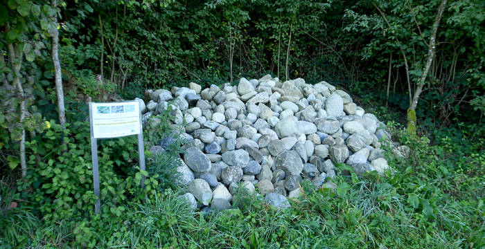 Cet imposant tas de pierre pour les lézards le long d’un chemin forestier a été réalisé avec enthousiasme par des jeunes en formation professionnel dans le domaine de la sylviculture. Cette réalisation les a sensibilisés à la protection de la nature. Le panneau informe les promeneurs de l’utilité de ce tas de pierre pour la nature.