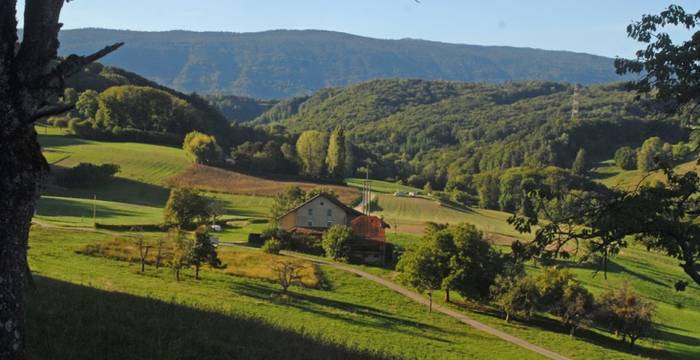Vallon de l'Aubonne