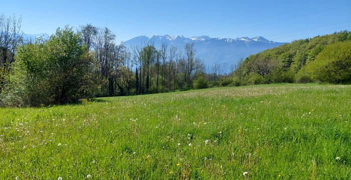 Zone du projet 