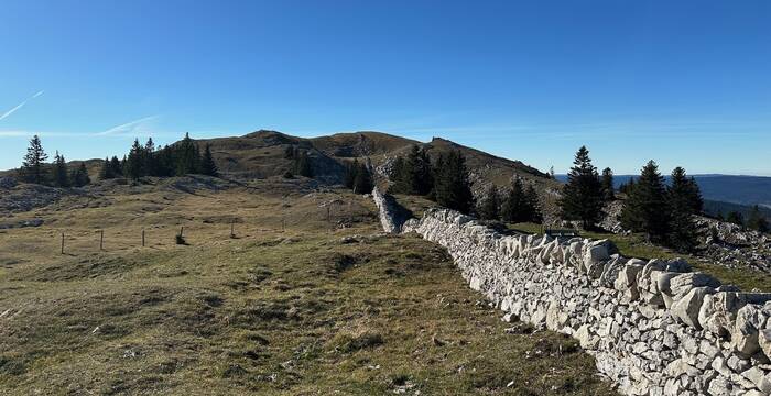 Mont Tendre