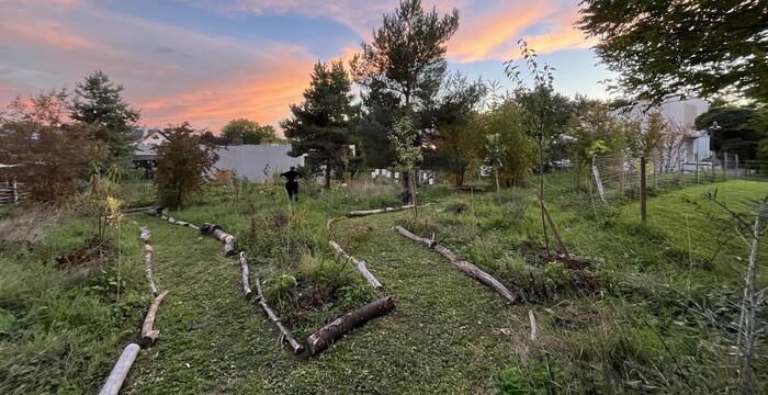 jardin-foret_cr_samuel_depraz