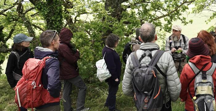 christophe_estermann_et_groupe_cr_giulio_genoni