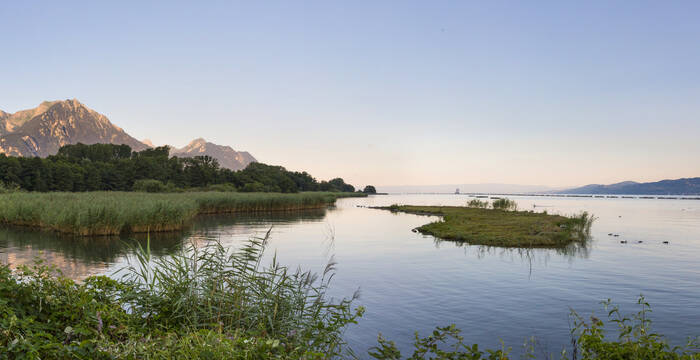 Lagune des Grangettes