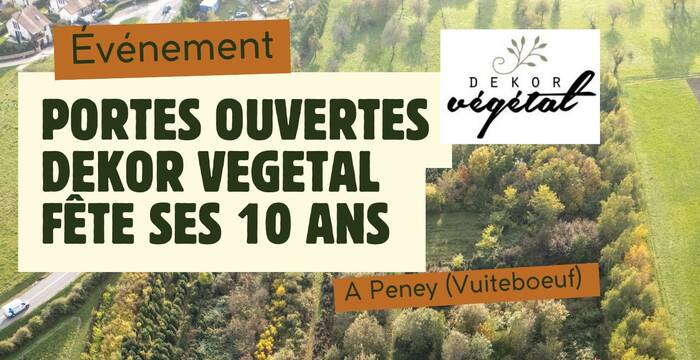 Dekor Vegetal