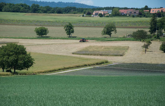 campagne © Anne-Claude Plumettaz