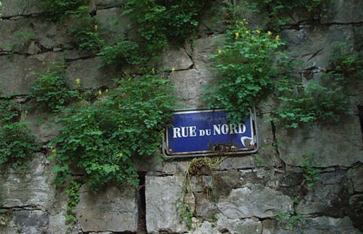 mur et végétation © Anne-Claude Plumettaz