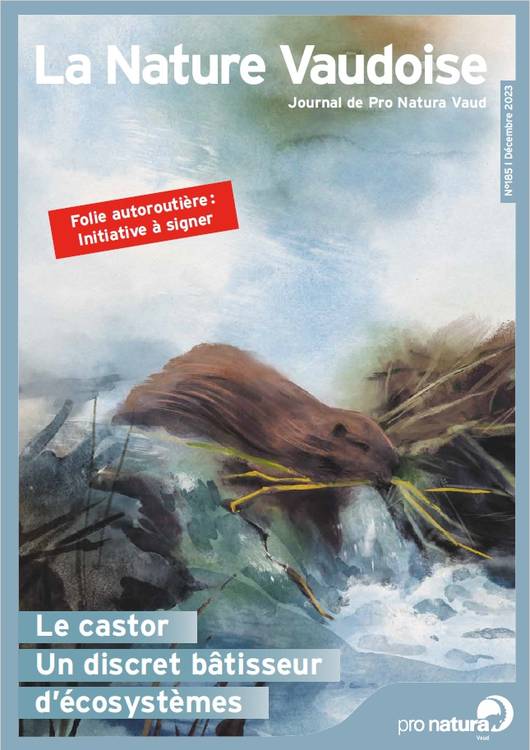 Couverture LNV 185
