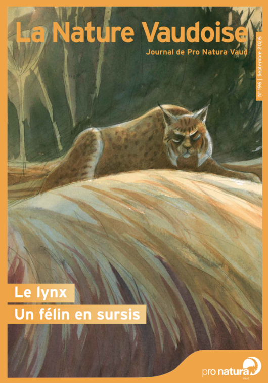 Couverture LNV 196