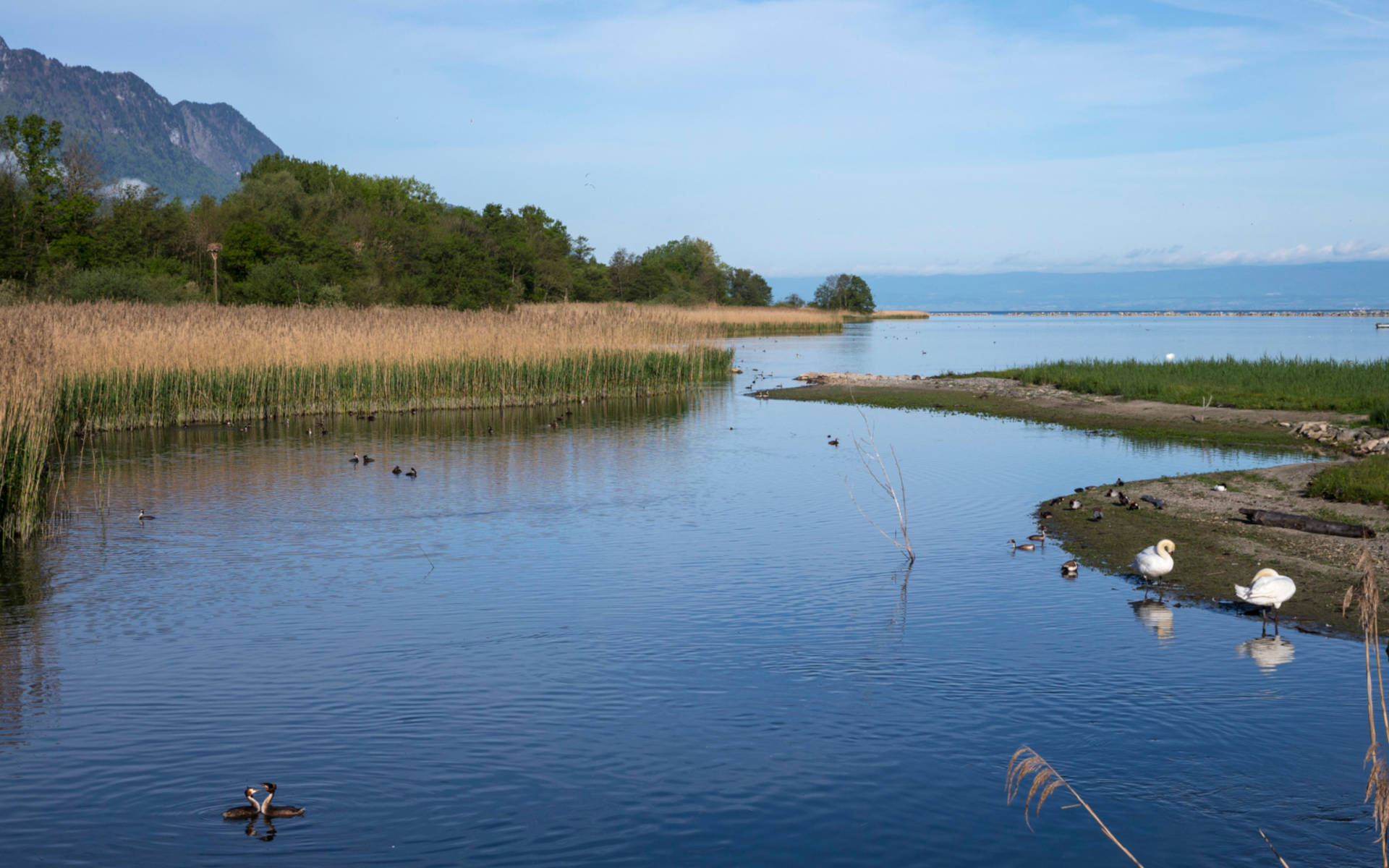 les grangettes_cr_benoit_renevey