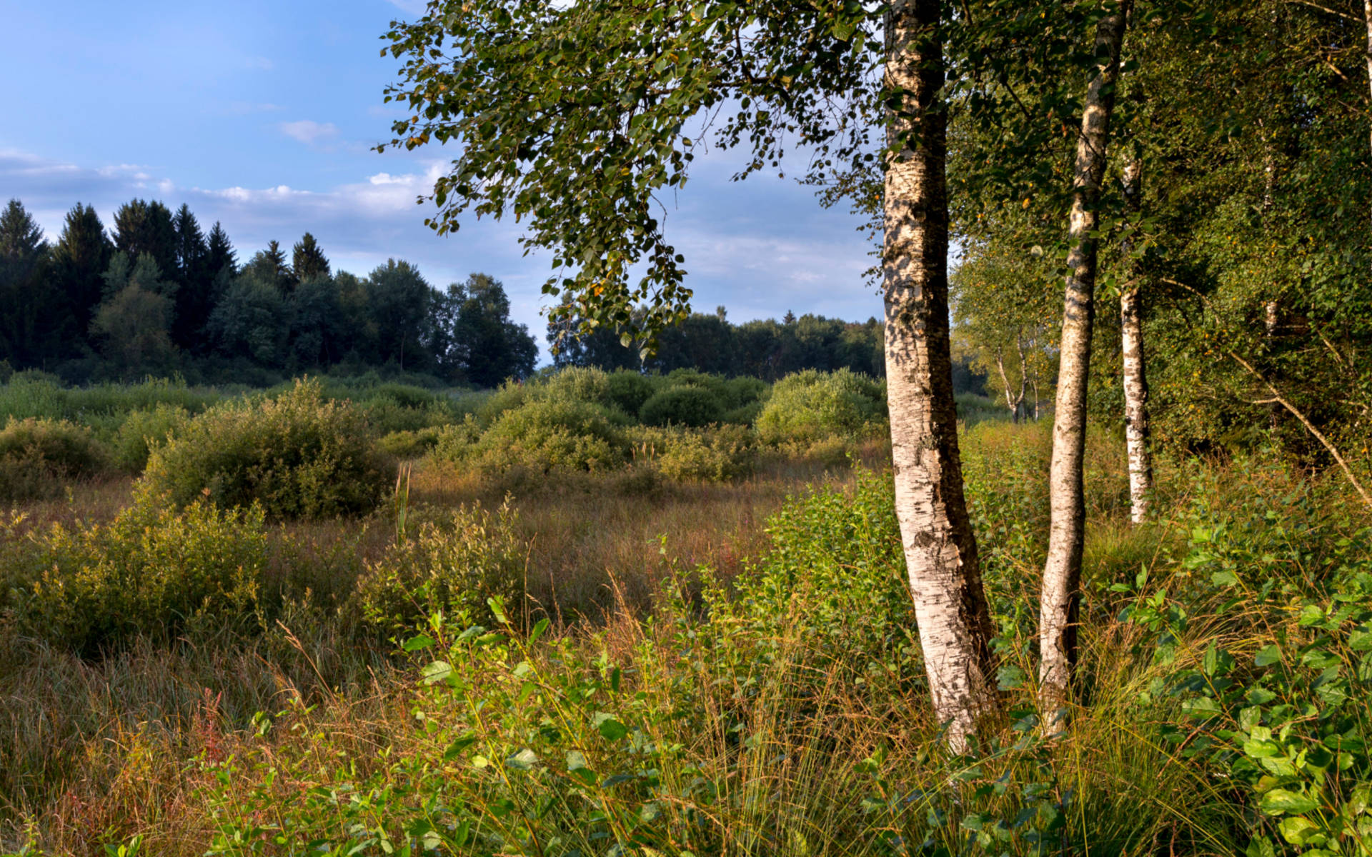 La Rogivue_cr_benoit_renevey