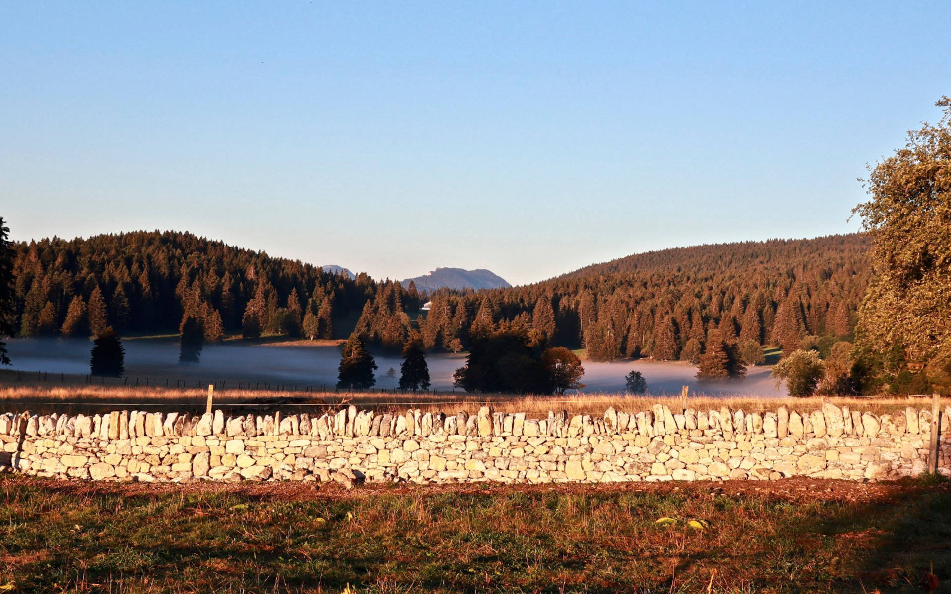 La mur est presque termine ©Pro Natura Vaud
