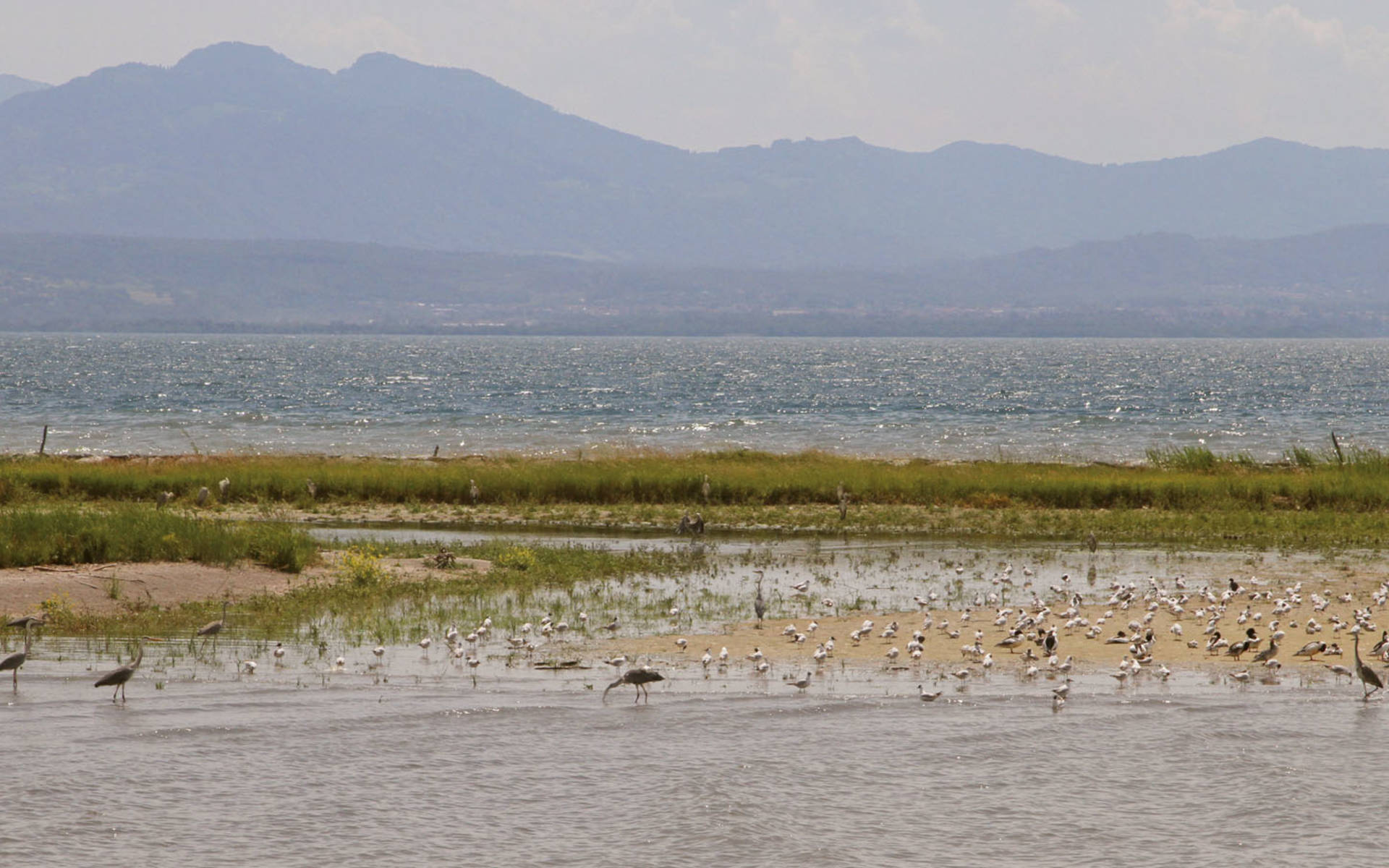 Ile aux Oiseaux