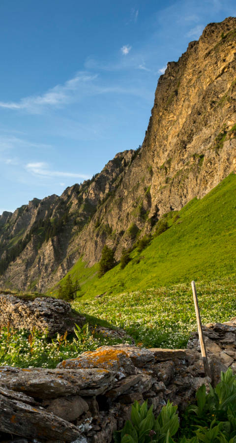 Col_de_Seron_cr_benoit_renevey