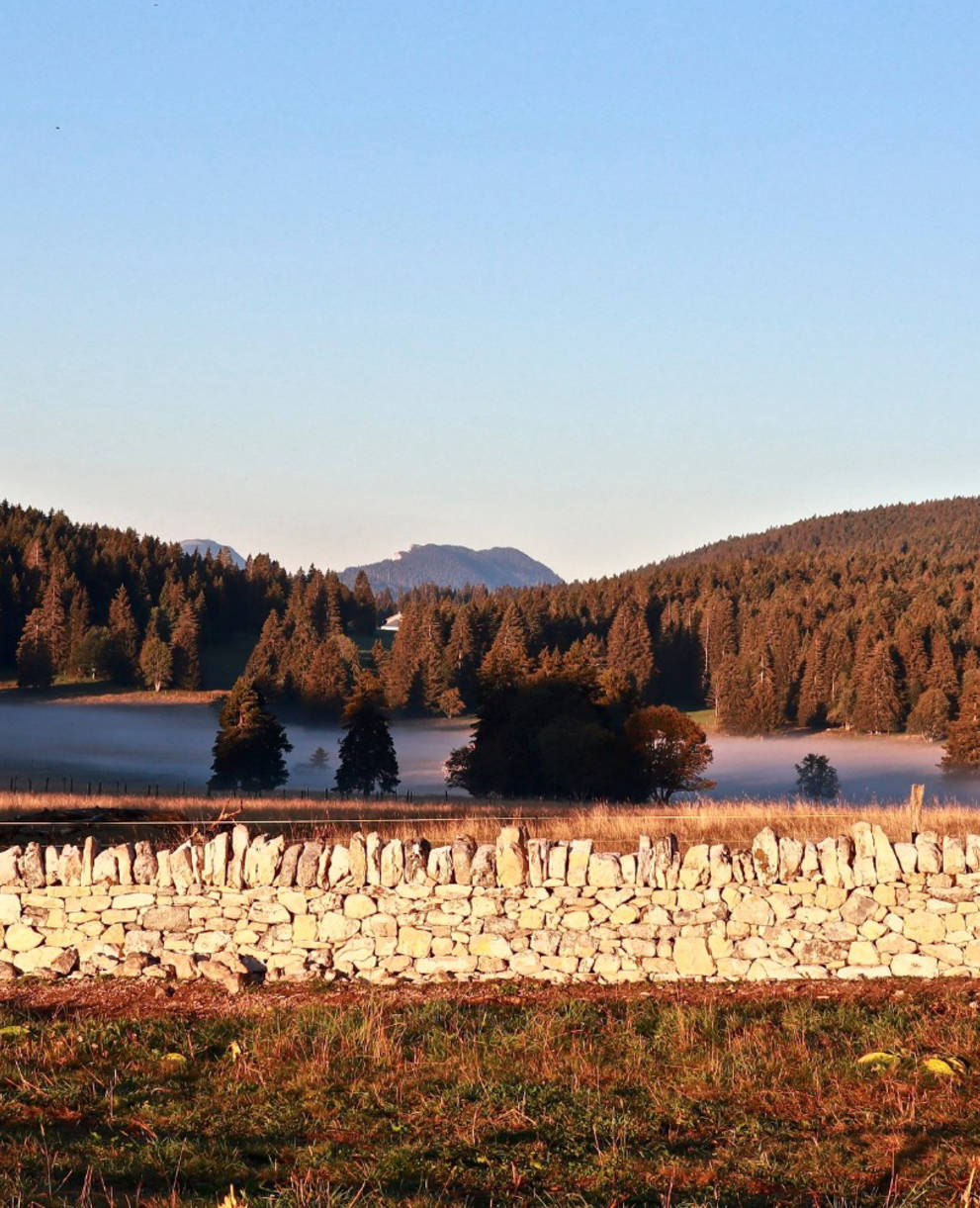 La mur est presque termine