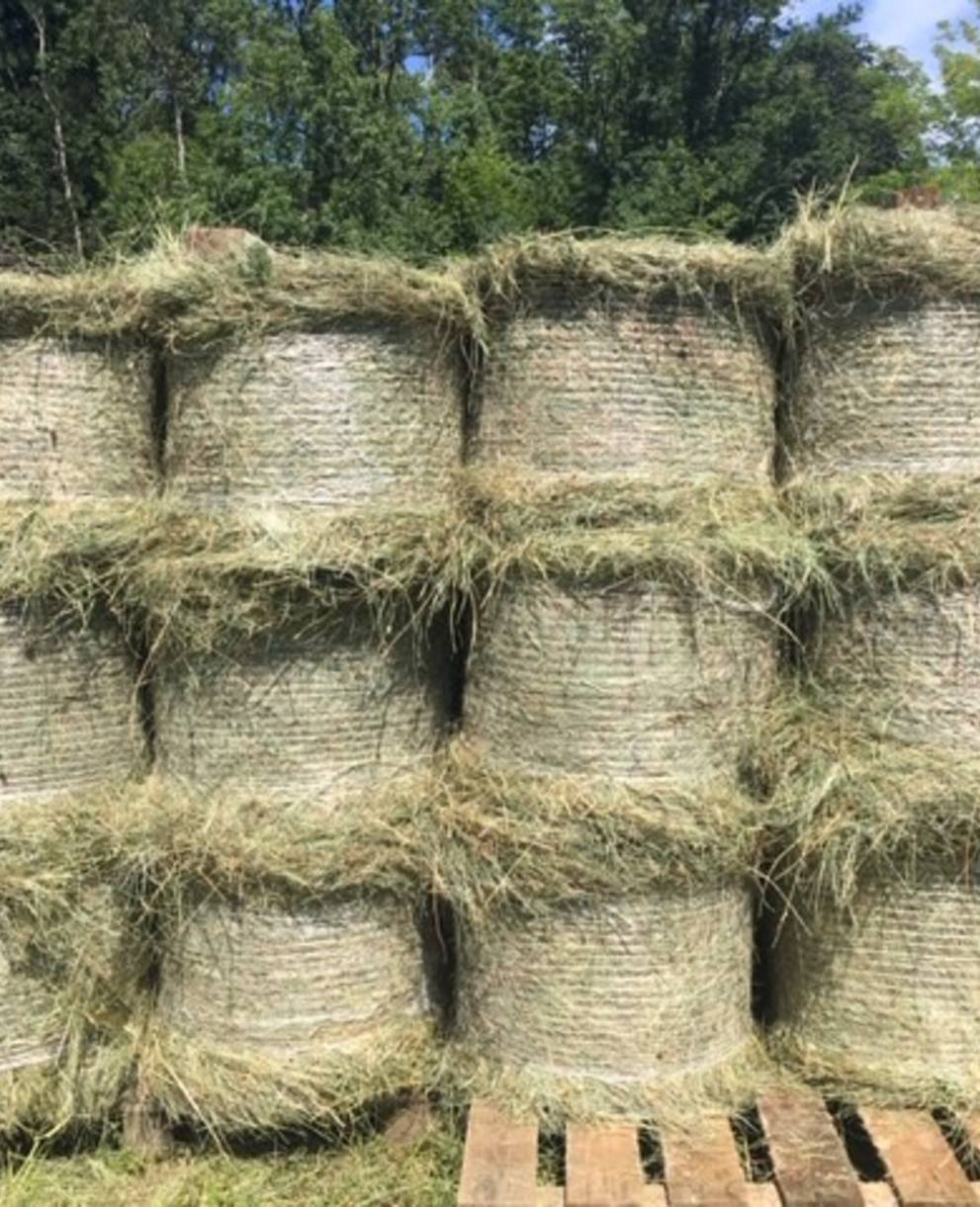 Balles de foin