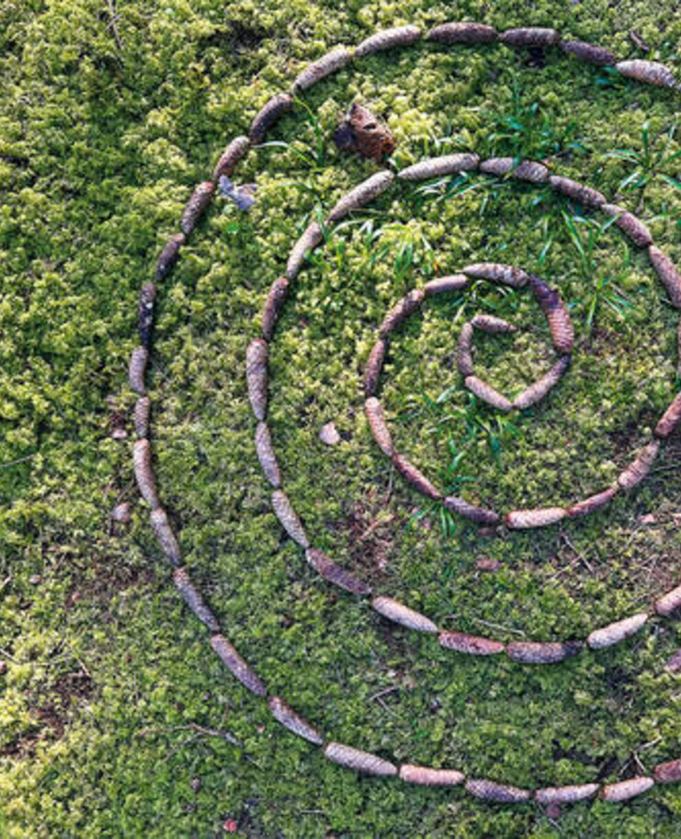 Spirale pives