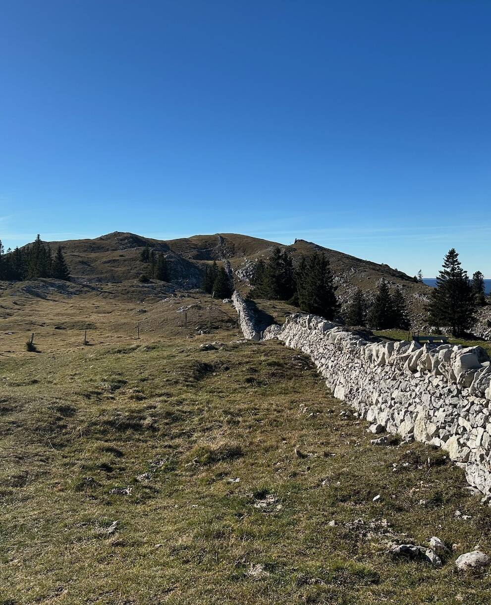 Mont Tendre