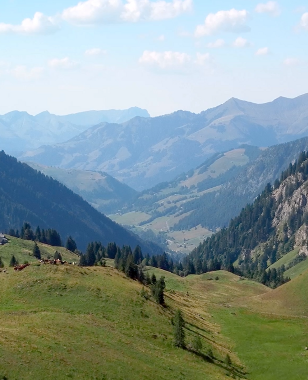 Pays d'Enhaut