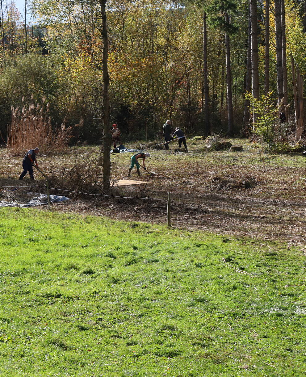 Ratissage sur la réserve
