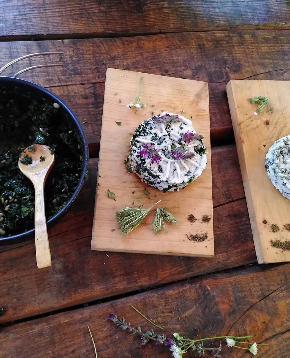 cueuillette_cr_florence_vez