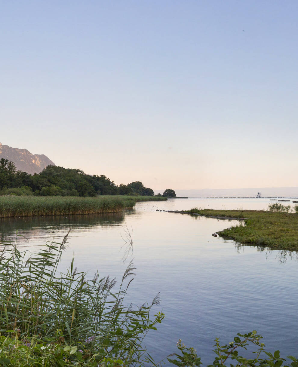 Lagune des Grangettes
