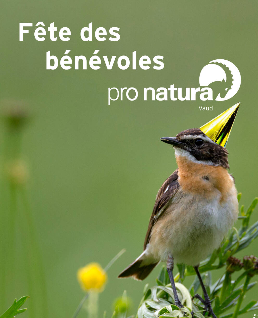 Fête des bénévoles