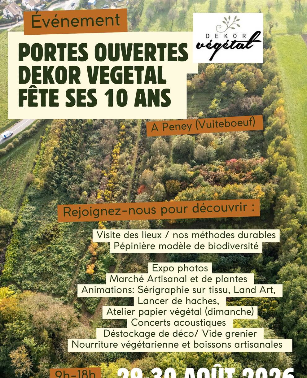 Dekor Vegetal