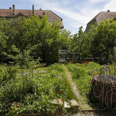 Jardin naturel